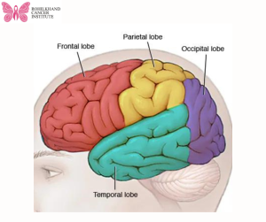 Brain tumor - Rohilkhand Cancer Institute | Pet CT Scan in Bareilly