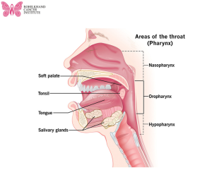 मुंह जीभ व गले का कैंसर स्तन व बच्चेदानी का कैंसर पेट व आंतों का कैंसर फेफड़ों व ब्लड कैंसर- Rohilkhand Cancer Institute | Pet CT Scan in Bareilly