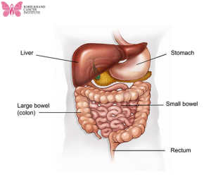 मुंह जीभ व गले का कैंसर स्तन व बच्चेदानी का कैंसर पेट व आंतों का कैंसर फेफड़ों व ब्लड कैंसर- Rohilkhand Cancer Institute | Pet CT Scan in Bareilly
