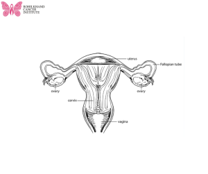सर्वाइकल कैंसर - सर्वाइकल कैंसर - Rohilkhand Cancer Institute | Pet CT Scan in Bareilly -