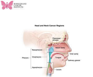 Oncology of the Head and Neck in Bareilly - Rohilkhand Cancer Institute | Pet CT Scan in Bareilly