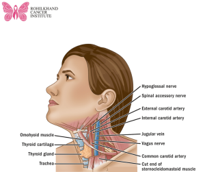 Oncology of the Head and Neck in Bareilly - Rohilkhand Cancer Institute | Pet CT Scan in Bareilly