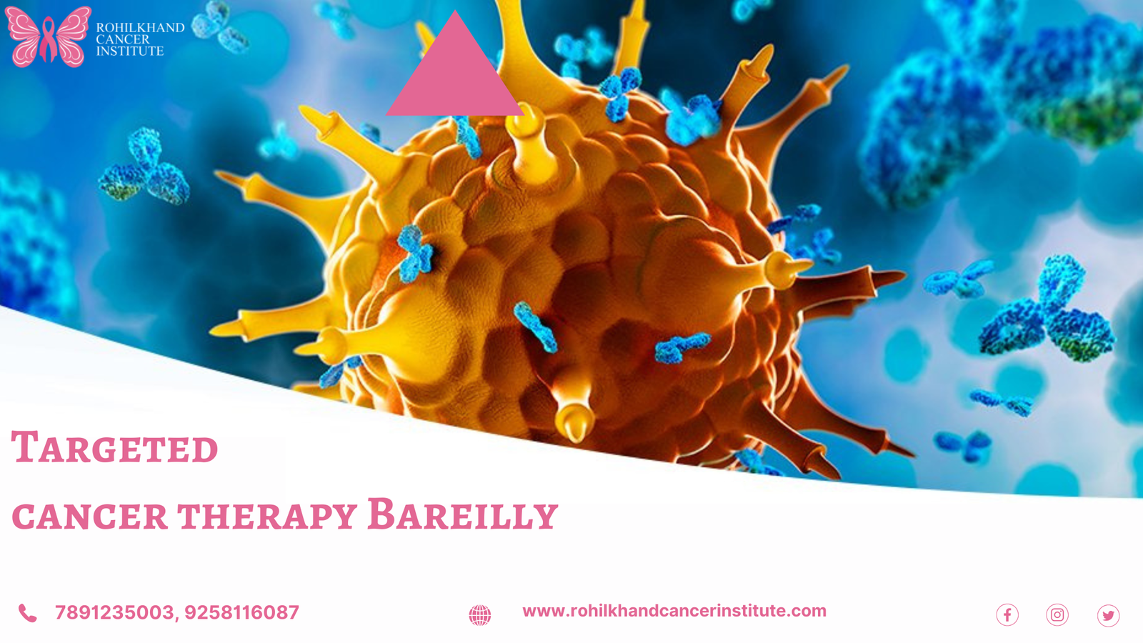 Targeted cancer therapy Bareilly