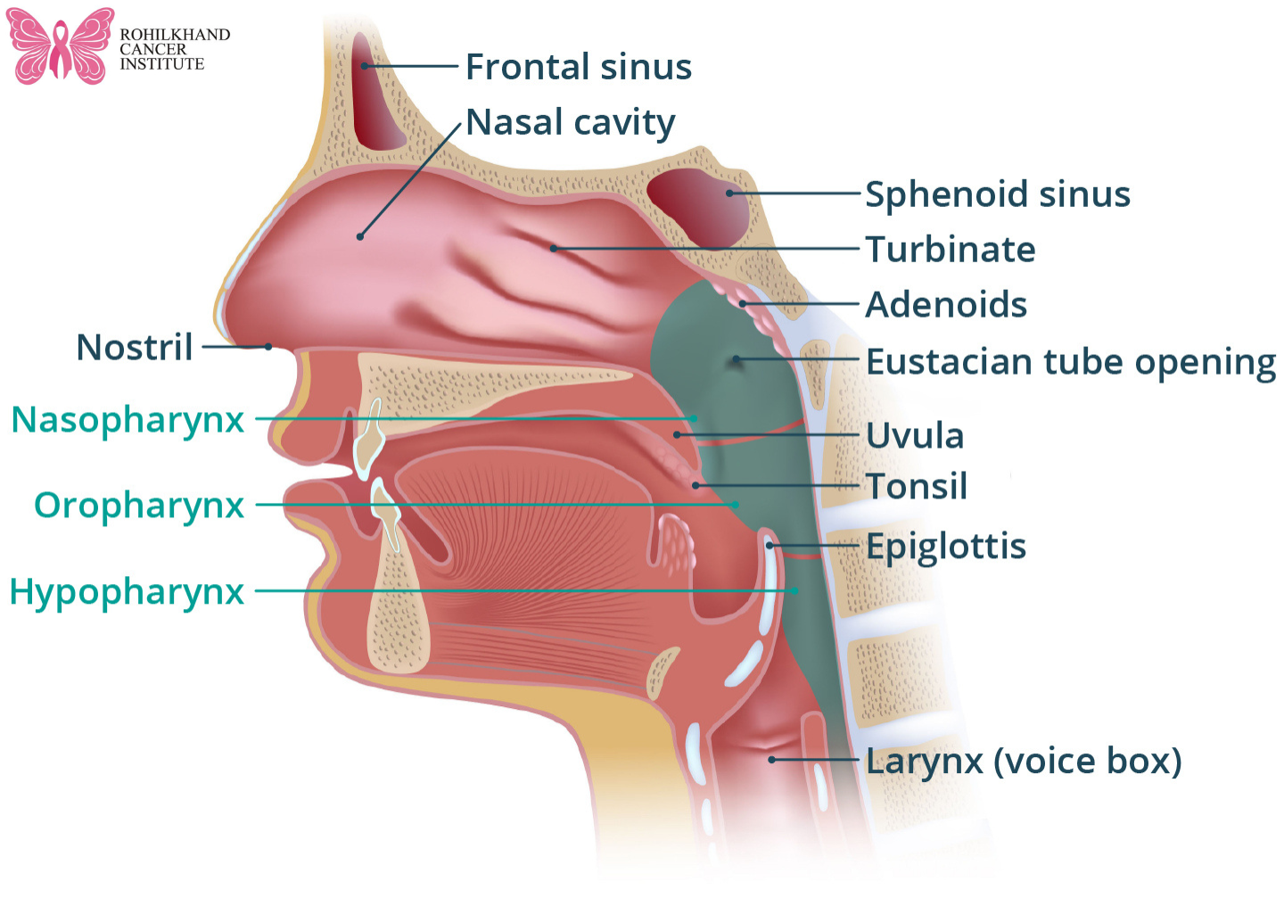 क्या आपके गले में गांठ है